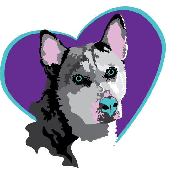 KD's Husky Rescue AZ