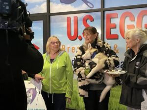 U.S. Egg Pancakes For Pooches!
