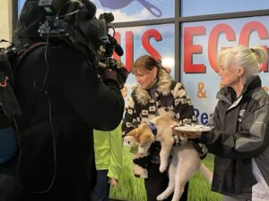 U.S. Egg Pancakes For Pooches!