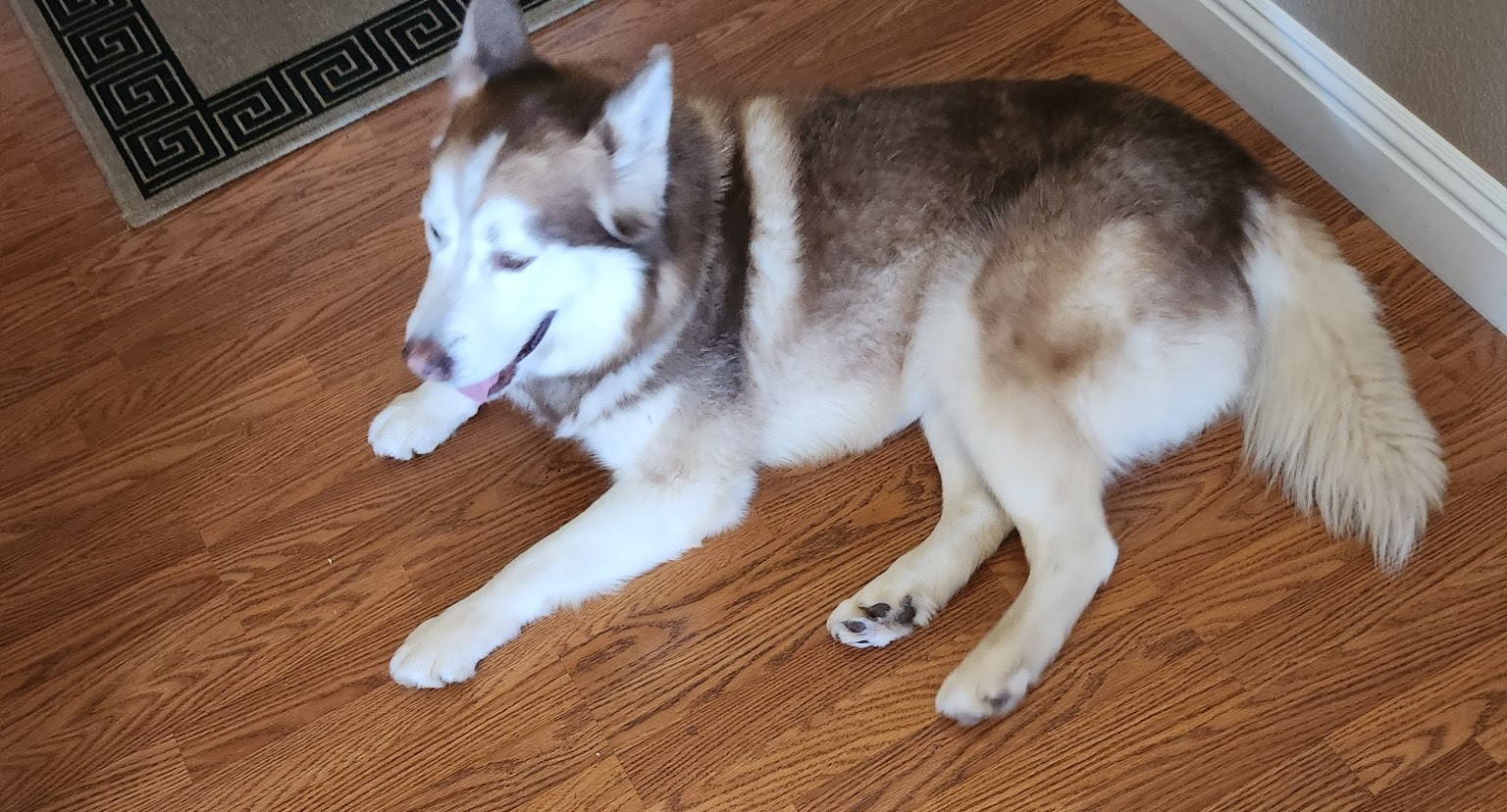 Kato