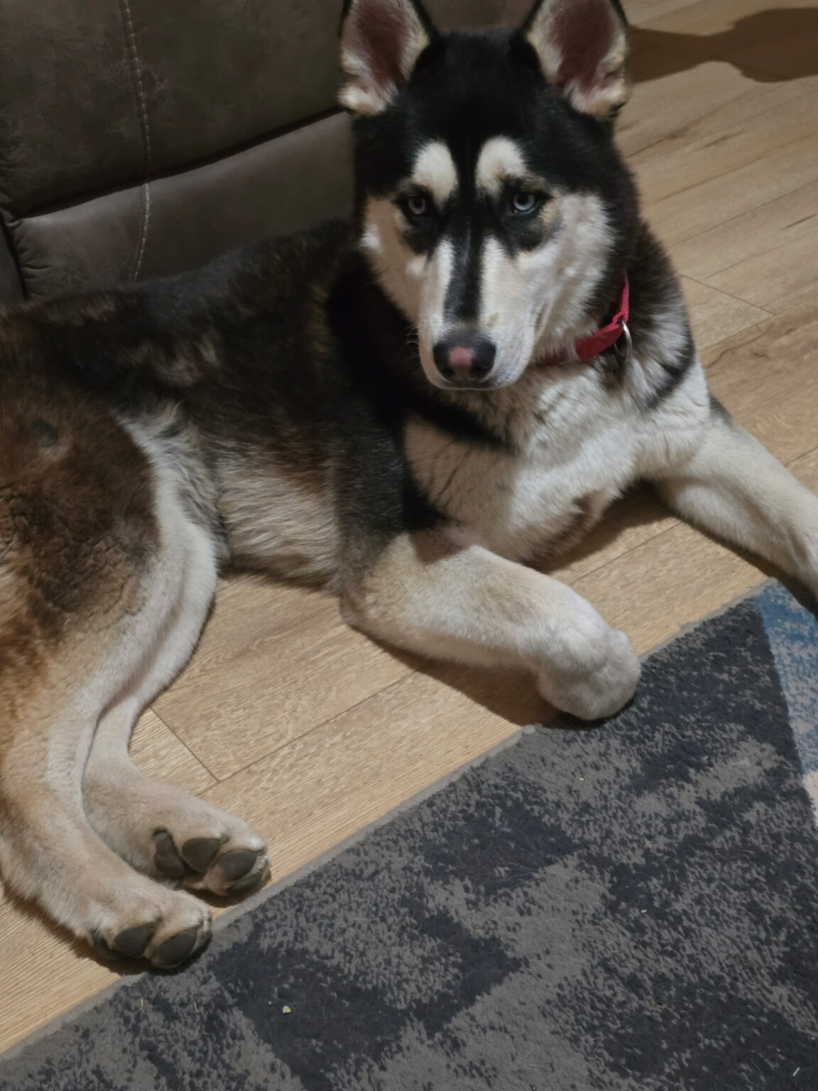 Fenrir