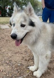 Zeus